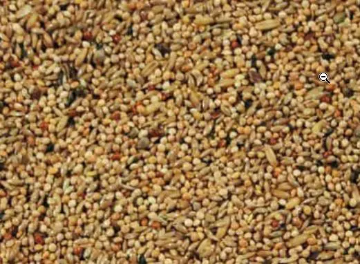 Natural Original Undulat Avl Spec. 20 kg